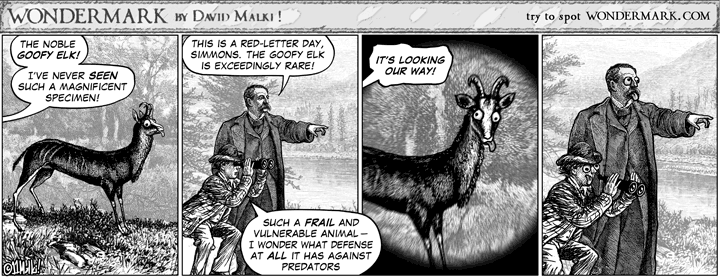 The fearsome Goofy Elk