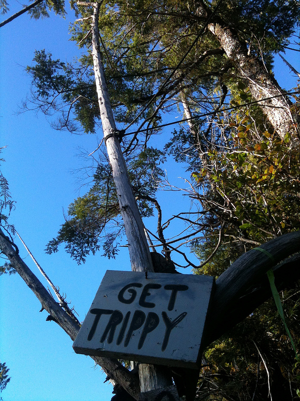 Get Trippy. YOU MUST OBEY. Or not, dude, Whatever's cool.