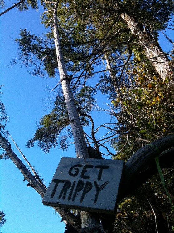 Get Trippy. YOU MUST OBEY. Or not, dude, Whatever's cool.