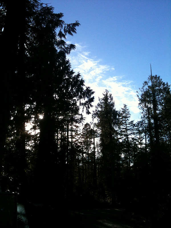 OpHippie close of the day