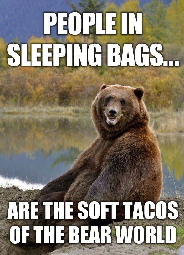and igloos are the hard tacos