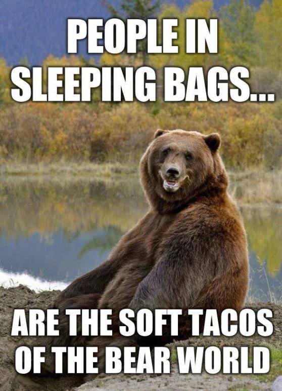and igloos are the hard tacos