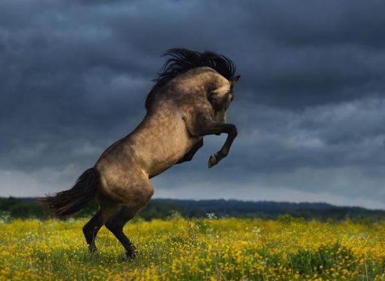 Up, up and awayyyyyy!